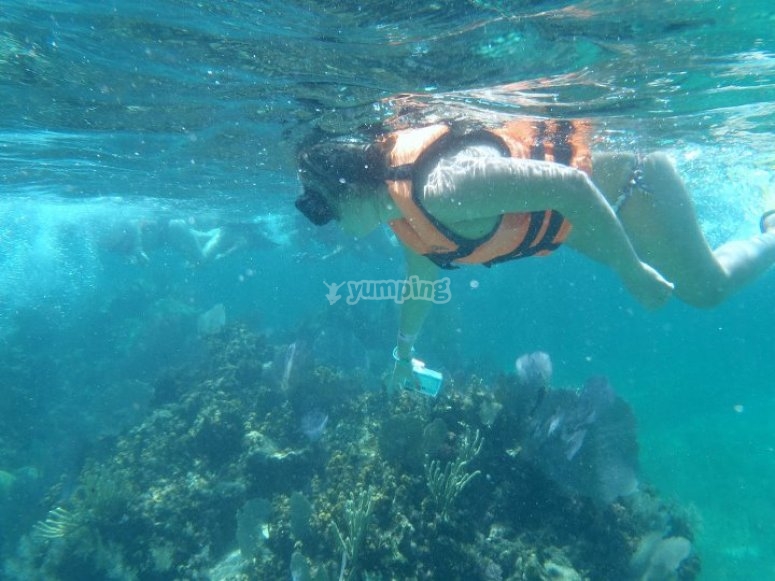 Snorkel Native Park, precios y reservas 2024